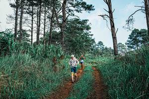 BIB: 
                            <button type="button" onclick="openModal(25653506)" class="btn btn-primary btn-sm float-right btn-popup" data-toggle="modal" data-target=".modal-high-quality">
                        <i class="fas fa-shopping-cart"></i> Add to Cart
                    </button>
                                            <button type="button" onclick="isThisMe(25653506, true)" class="btn btn-success btn-sm float-right btn-popup btn-isme hidden" data-toggle="tooltip" data-placement="bottom" title="นี่คือรูปของคุณใช่ไหม คลิกที่นี่เพื่อเอาเข้าอัลบั้ม">
                        <i class="fas fa-plus"></i> Add to album
                    </button>
                    <button type="button" onclick="isThisMe(25653506, false)" class="btn btn-warning btn-sm float-right btn-popup btn-isnotme hidden">
                        <i class="fas fa-ban"></i> Remove from album
                    </button>